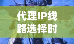 代理IP线路选择时,需要综合考虑业务需求、网络扩展性、设备数量、成本、信号稳定性等因素。以下是对不同网络类型的选择建议 代理IP线路选择时,需要综合考虑业务需求、网络扩展性、设备数量、成本、信号稳定性等因素。以下是对不同网络类型的选择建议