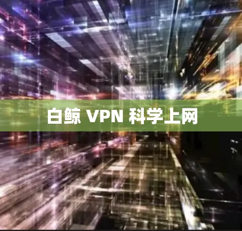 白鲸 VPN 科学上网 白鲸 VPN 科学上网