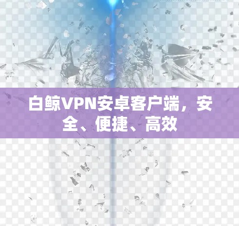 白鲸VPN安卓客户端,安全、便捷、高效 白鲸VPN安卓客户端,安全、便捷、高效